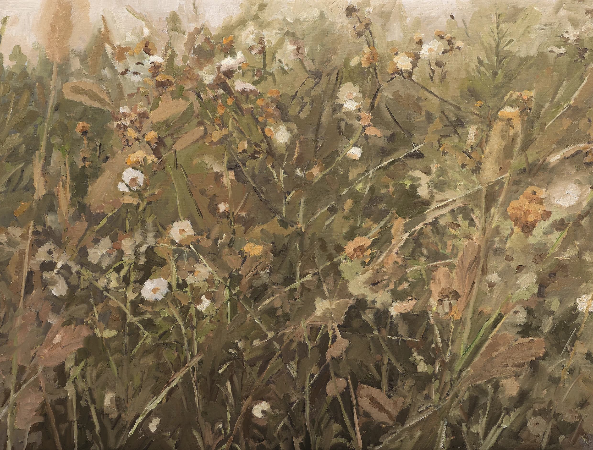 Wildflowers by Zhang Zikang