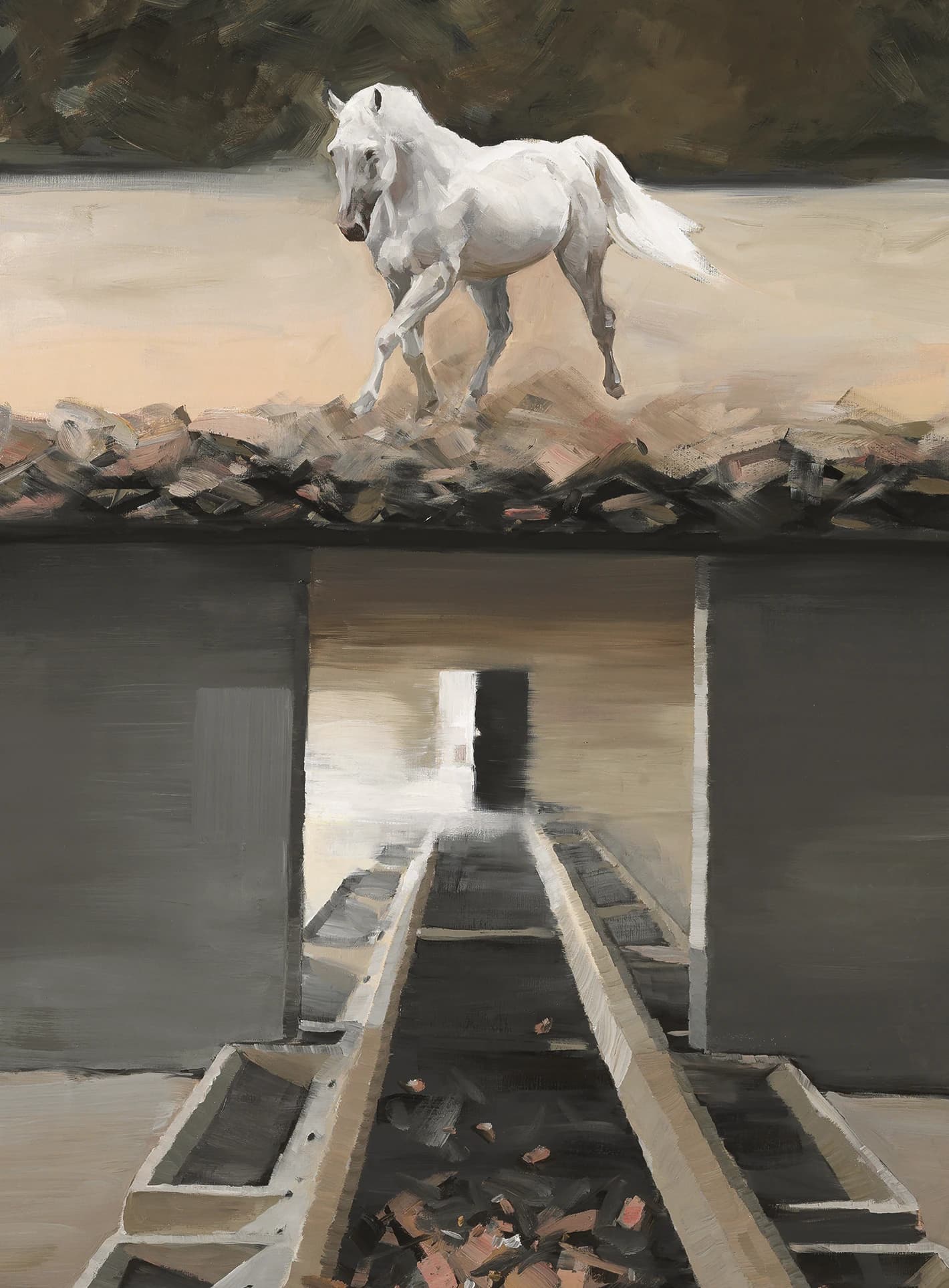 Seeking · Ili by Zhang Zikang